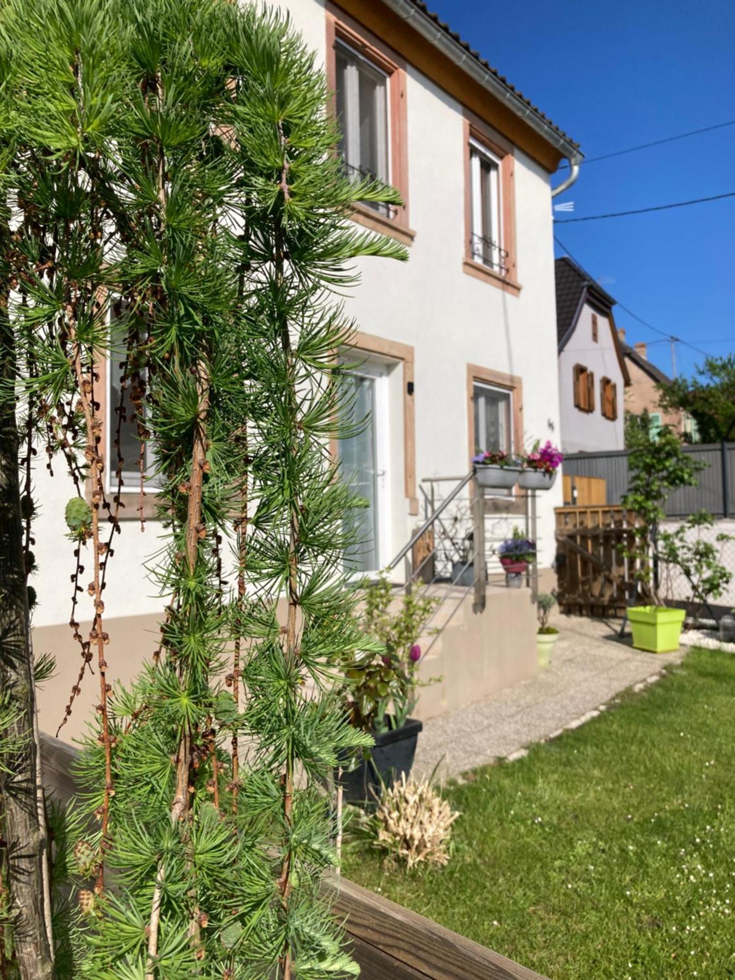 Gite Le 1602 Saint-Nabor ภายนอก รูปภาพ